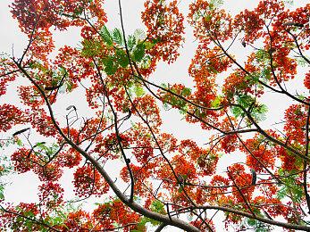 PS5 Pro将有独占“Pro强化”游戏：4K+60FPS+光追